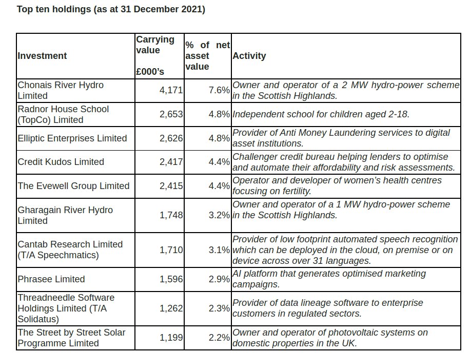 Albion top 10 holdings