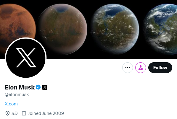 Musk Twitter bio screen shot