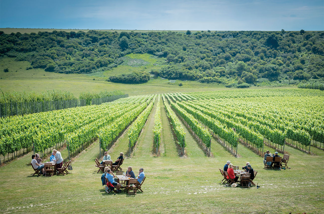 VisitBritian now contains a section for Wine Tourism   Source: Decanter