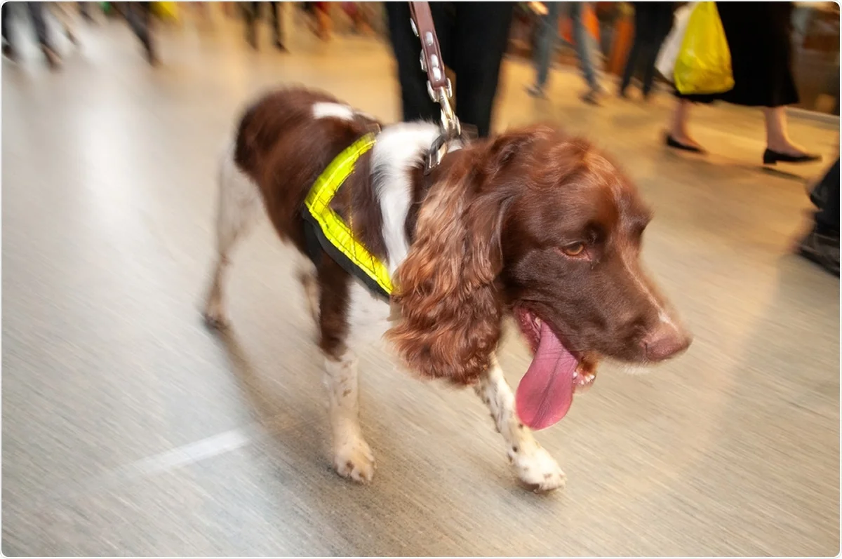 Sniffer dogs   Source:News-Medical.net