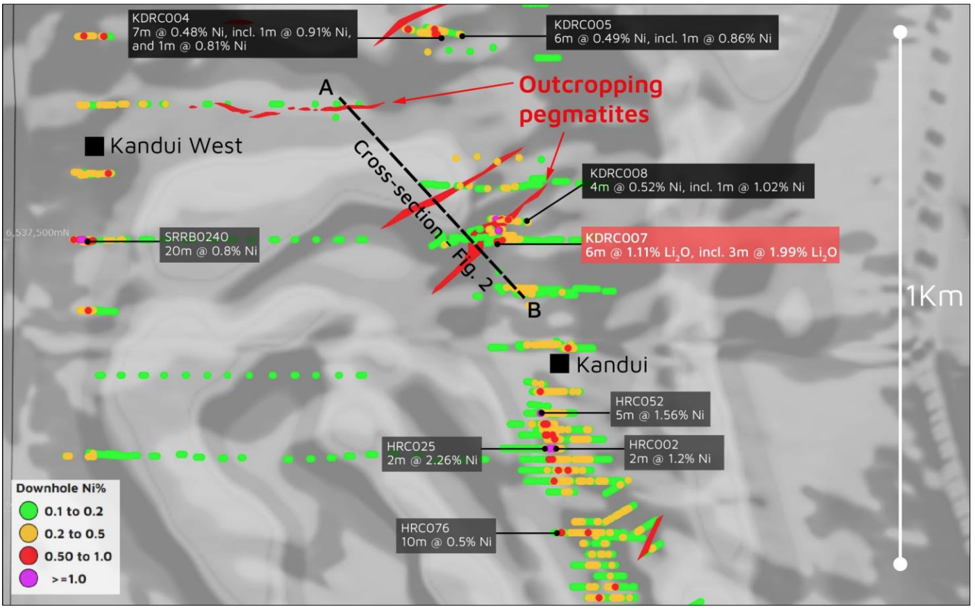 Kandui Prospect location plan showing completed drilling, downhole nickel grades, and outcropping pegmatites