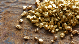 gold_nuggets,_sized_566851a0e5883