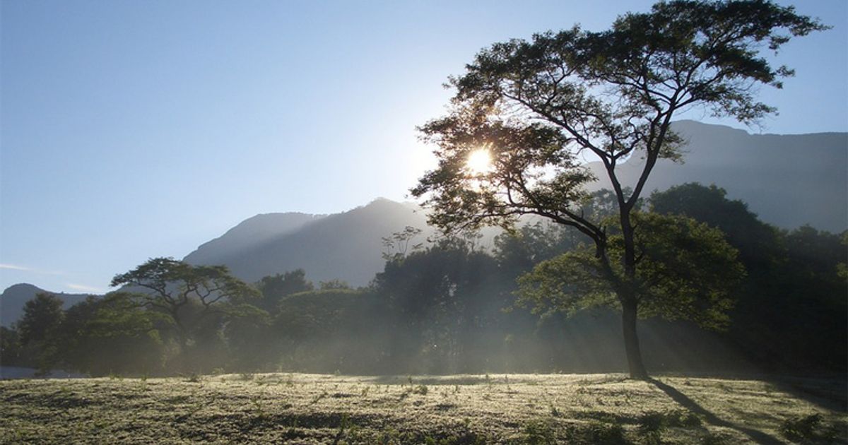 Proactive weekly mining news - Tanzania the word as country's legislation changes bring forth statements