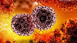 Cancer cells graphic