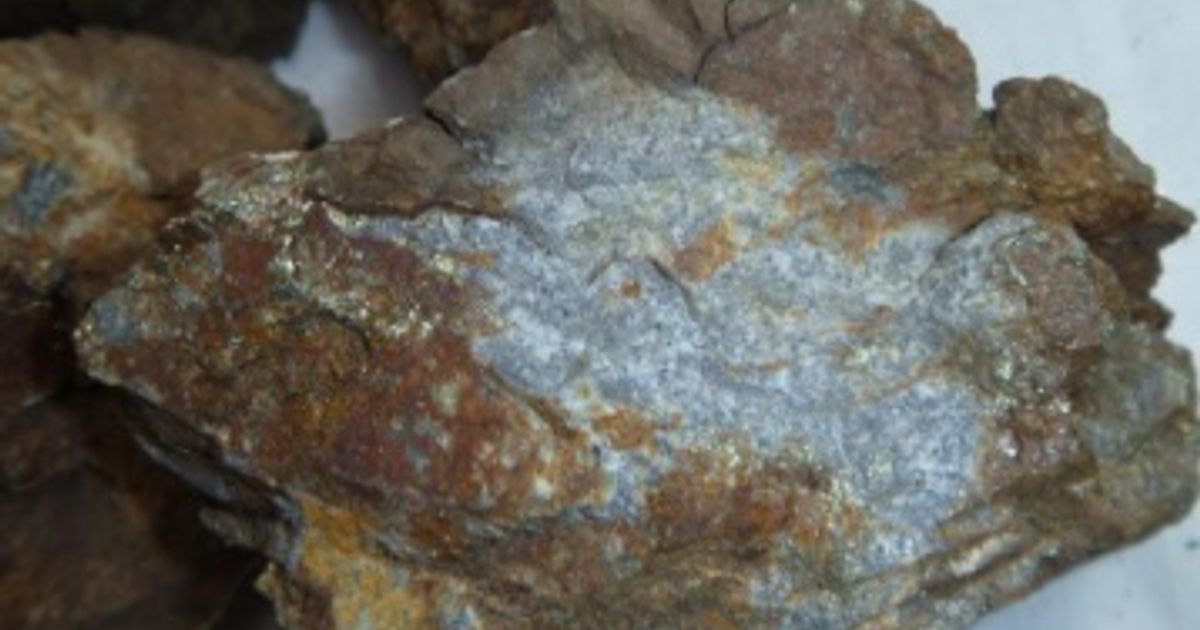 Ironbark Zinc Ltd's Gary Comb takes up full allotment in Share Purchase