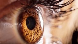Close up shot of a human eye ball