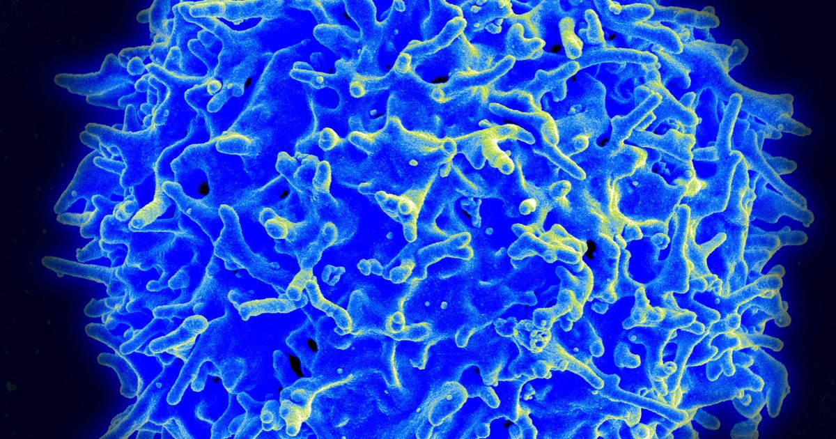 Imugene granted Canadian patent for proprietary cancer vaccine | ASX ...