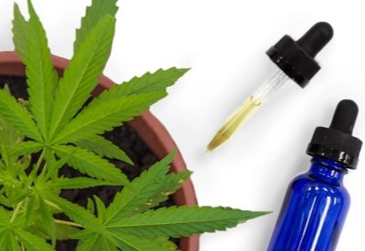 cannabis extract