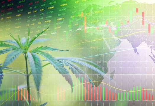 cannabis analytics