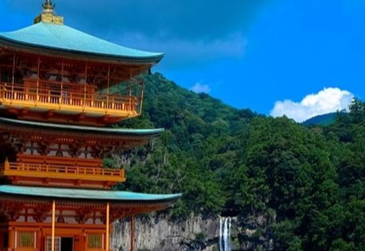 Japan Gold - 