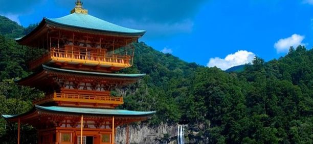 Japan Gold - 