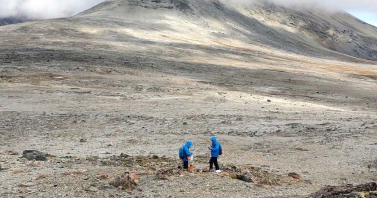 Greenland Minerals chairman buys more shares onmarket ASXGGG, OTCGDLNF