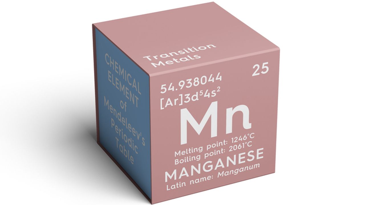 Element 25 sees Butcherbird manganese expansion project advance through ...