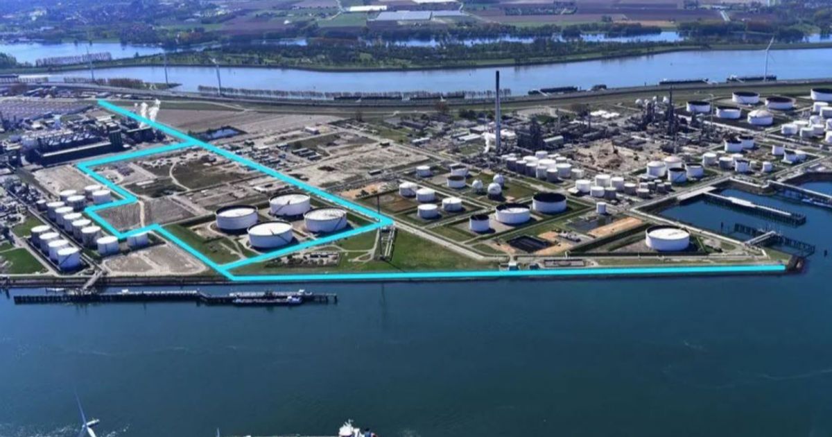 Provaris Energy and Global Energy Storage to develop hydrogen import facility at Rotterdam - Vimarsana News