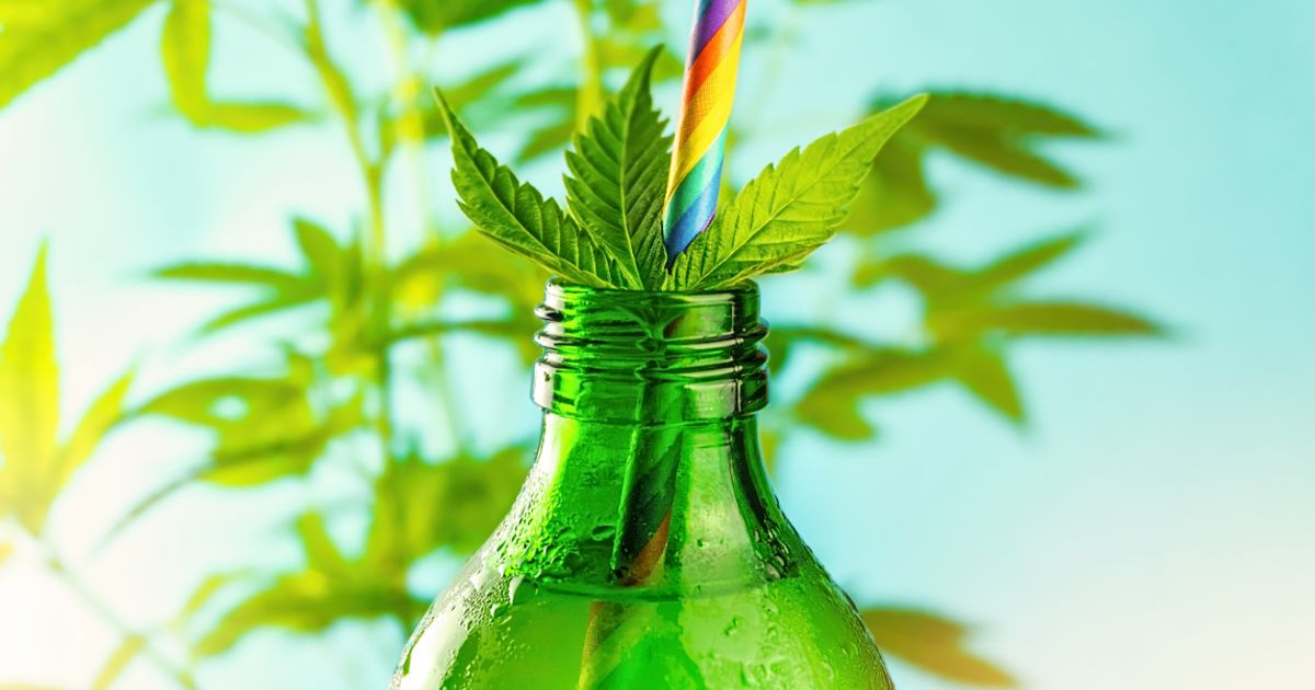 Cannabis beverages quenching thirst for accessible, non-alcoholic drink options - Vimarsana News