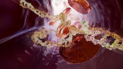 ANGLE PLC - ANGLE partners with AstraZeneca in groundbreaking oncology contract