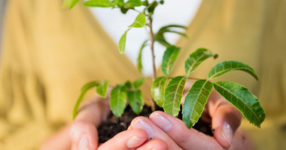 Itaconix hails the launch of two new plant-based ingredients - Vimarsana News