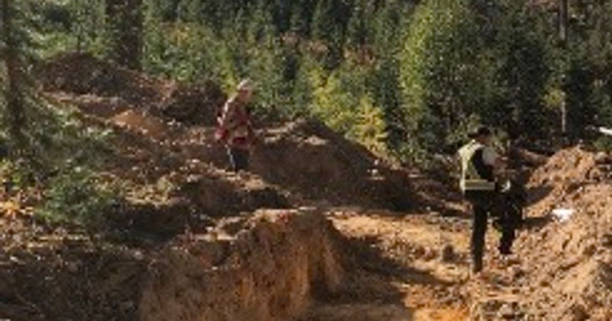 Kodiak Copper uncovers new copper porphyry zone on MPD project - Vimarsana News