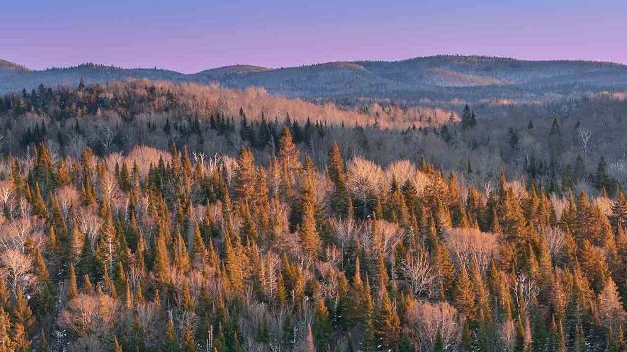 Abitibi Metals expands drill program at B26 Polymetallic Deposit | CSE ...