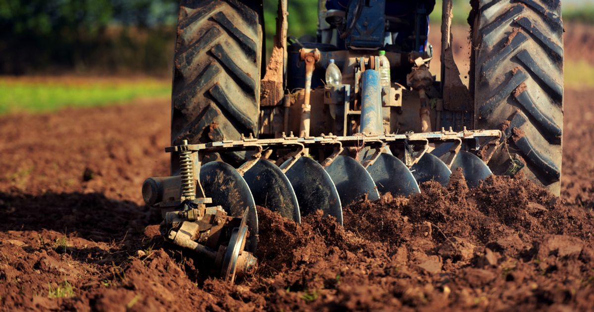 Harvest Minerals rockets higher on renewed guidance - Vimarsana News