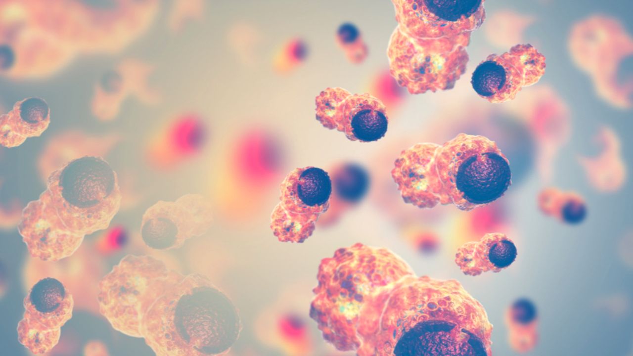 Race Oncology higher as bisantrene is combined with decitabine to ...