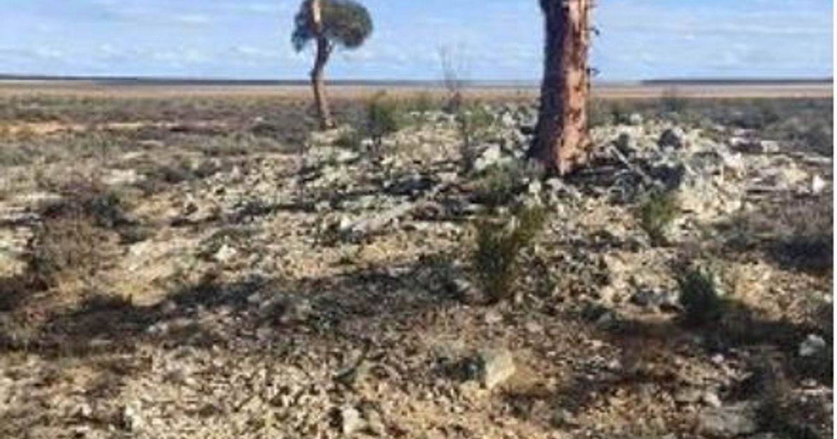 Poseidon Nickel resumes exploration at Lake Johnston lithium project - Vimarsana News