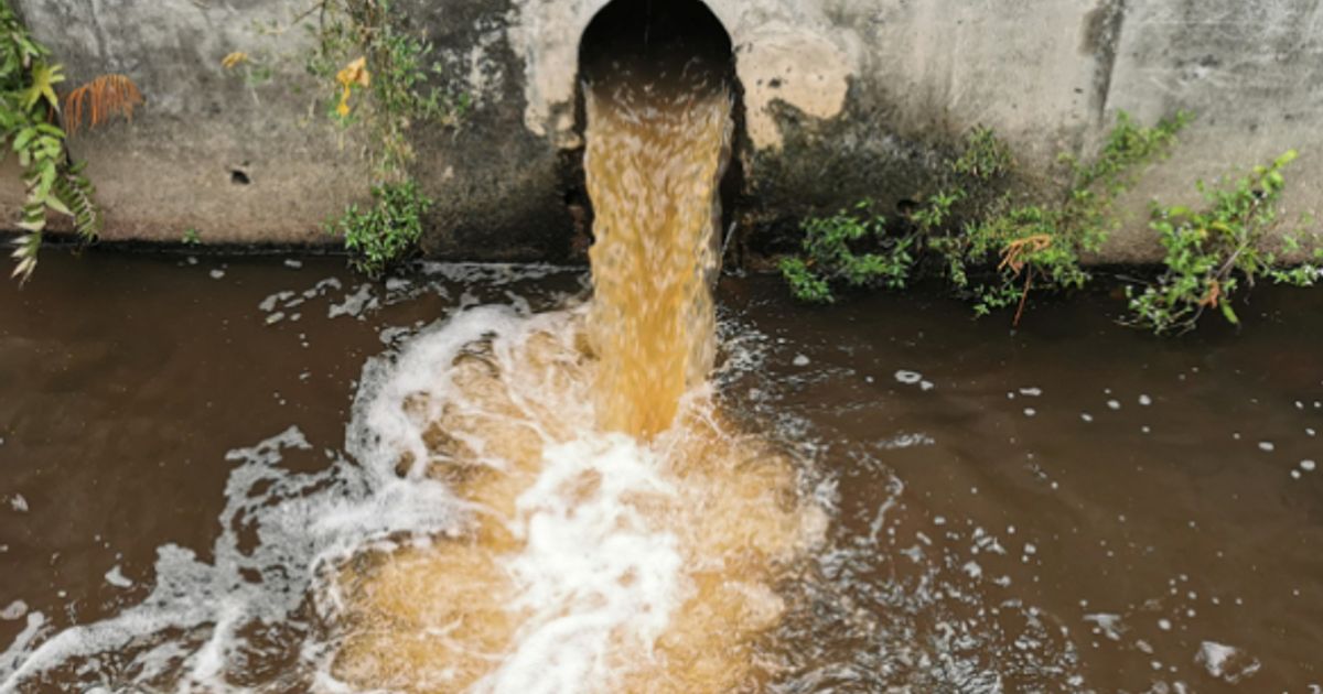 Pennon and other water companies fall as regulator poised to reject ...