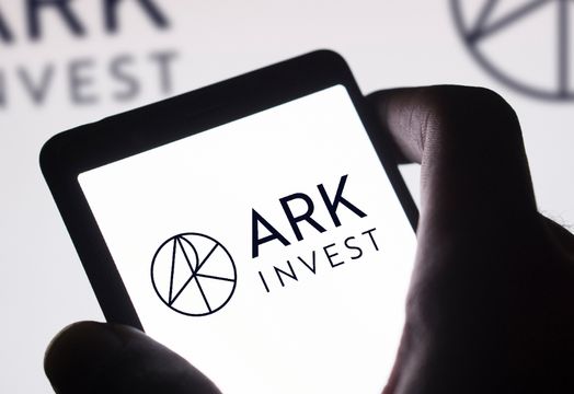 OpenAI - Cathie Wood&rsquo;s ARK buy stake in Elon Musk AI startup xAI