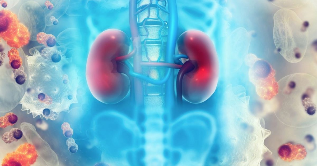 Scancell receives approval to expand ModiFY cancer trial - Vimarsana News