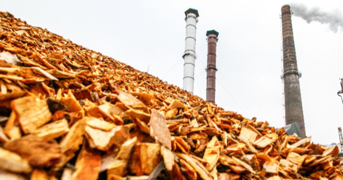 PyroGenesis' Pyro Green-Gas wins $2.5m contract from major Quebec ...