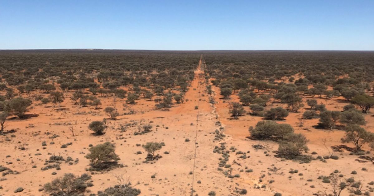 Lightning Minerals testing high priority gold targets at Mailman Hill - Vimarsana News