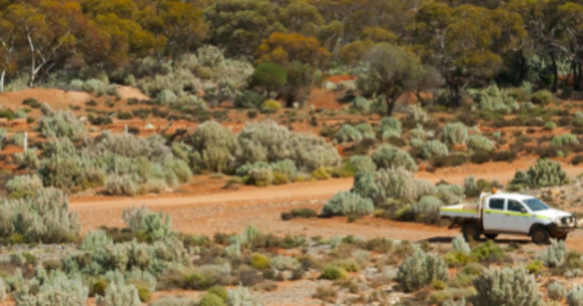 Yandal Resources identifies new large-scale targets across Ironstone Well-Barwidgee Gold Project - Vimarsana News