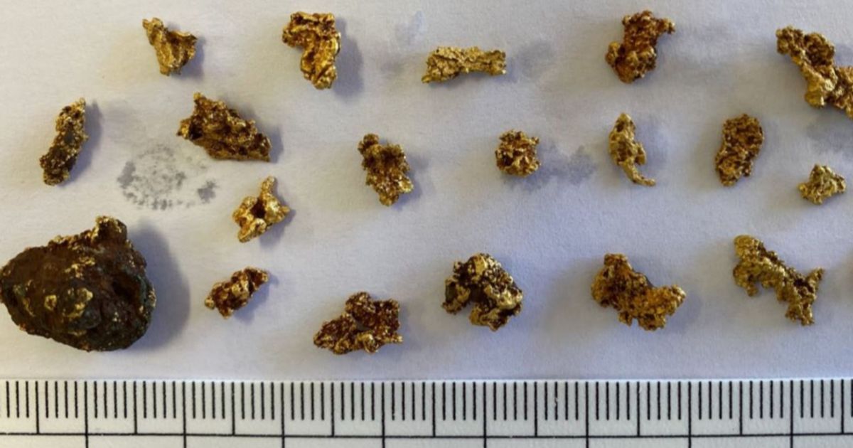 Artemis Resources hits 6.93 g/t gold and 10.85% copper in West Pilbara samples; finds multiple nuggets - Vimarsana News