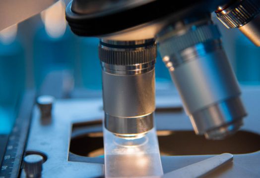 Scancell Holdings PLC - Scancell Holdings promising cancer vaccine developments for advanced melanoma - One2One Forum