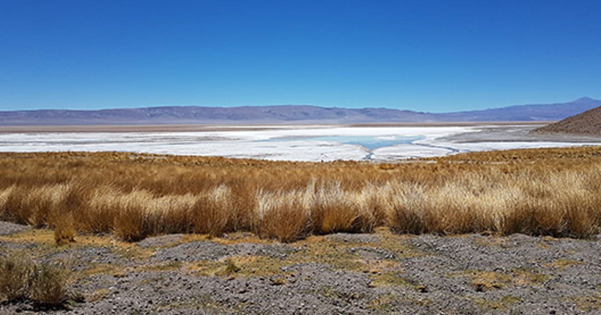 Argentina Lithium & Energy pursues major projects amid rising industry demand - Vimarsana News