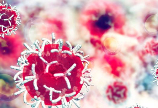cancer cells