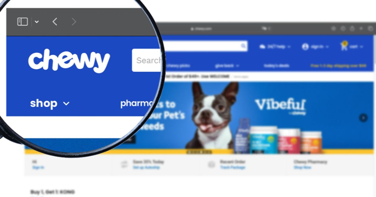 Chewy spikes after investor Roaring Kitty stake revealed NYSE RDDT