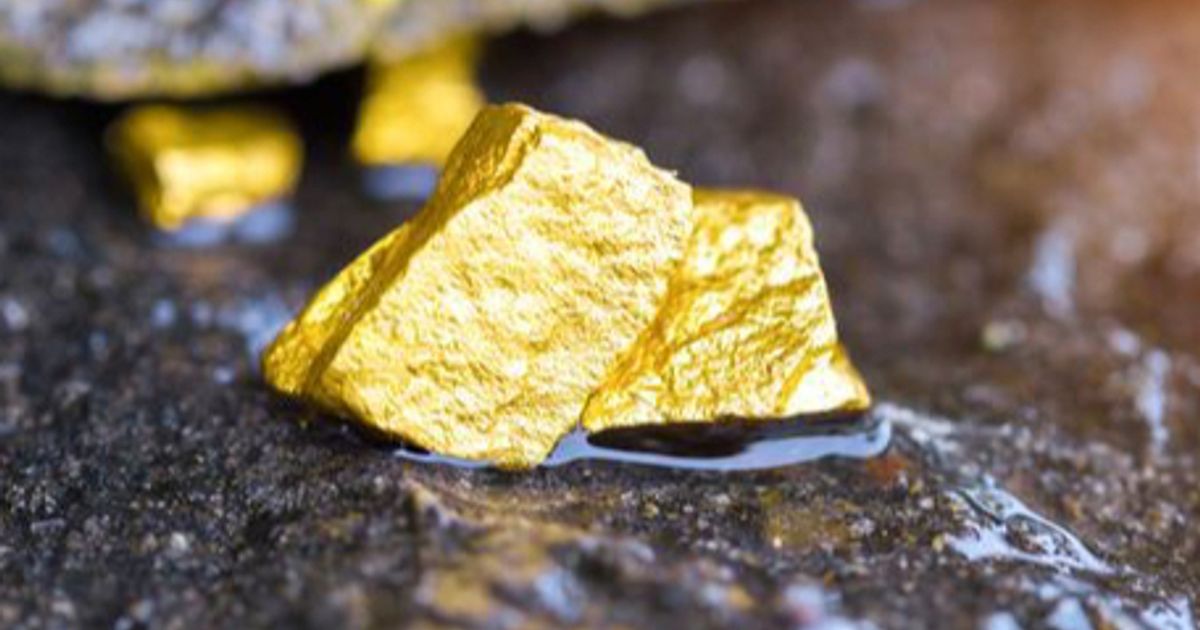 QMines uncovers high-grade gold samples at Mt Chalmers | ASX:QML