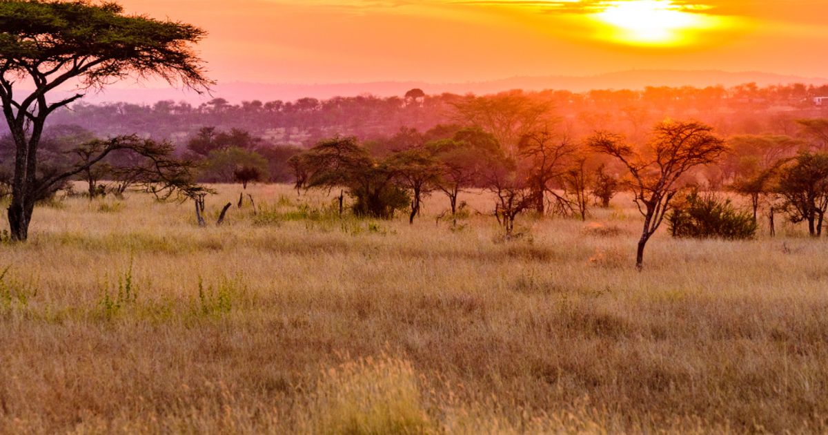 Resource Mining Corp returns gold and copper in maiden Mpanda RC ...
