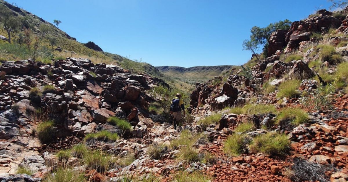 Novo Resources ramps up exploration across Pilbara gold targets | TSX ...