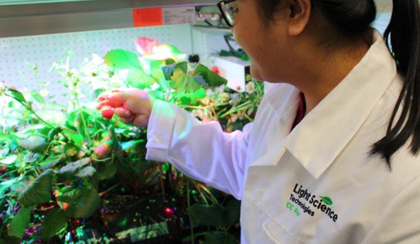Light Science Technologies Holdings PLC - 