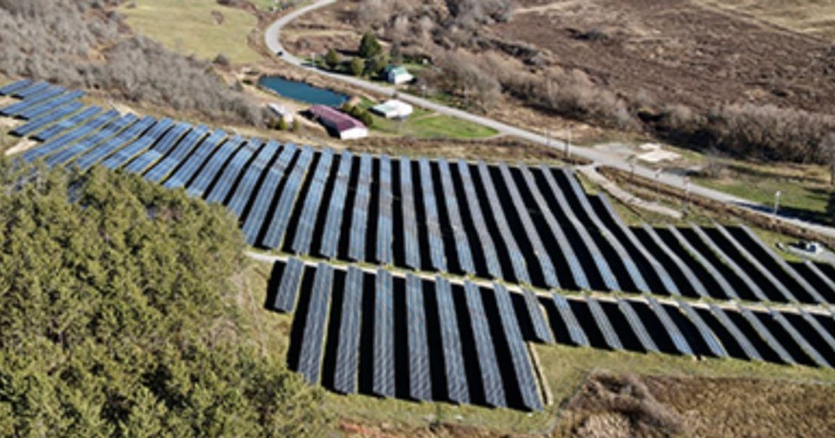 SolarBank CEO Discusses U.S. Expansion & Renewable Projects