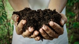 soil in hands