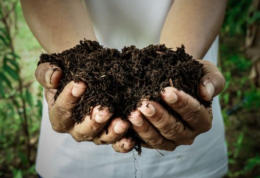soil in hands
