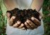 soil in hands