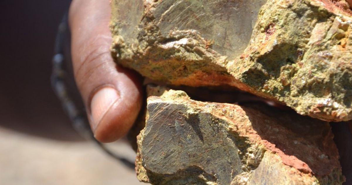 Rainbow Rare Earths CEO lays out key objectives for 2024 - Vimarsana News