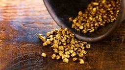 TNR Gold Corp - TNR Gold Corp Executive Chairman upbeat on prospects for 2024