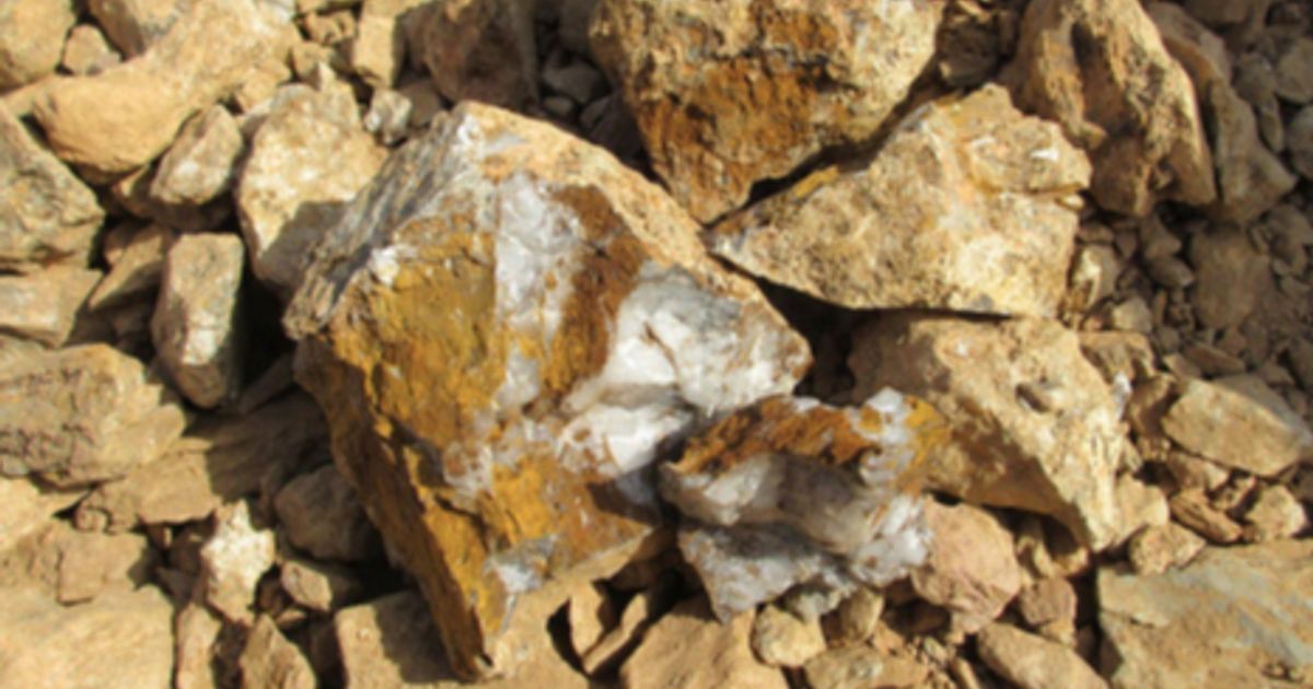 Mako Gold assays up to 79.5 g/t gold in rock chips at Napié; shares up ...