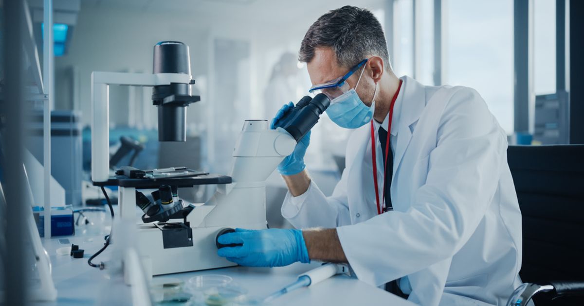 Immunic to present data for lead asset vidofludimus calcium from Phase 2 MS and COVID-19 trials - Vimarsana News
