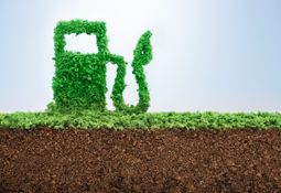 Charbone Hydrogen Corporation - 